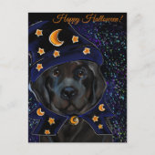 Newfoundland Dog Briefkaart (Voorkant)