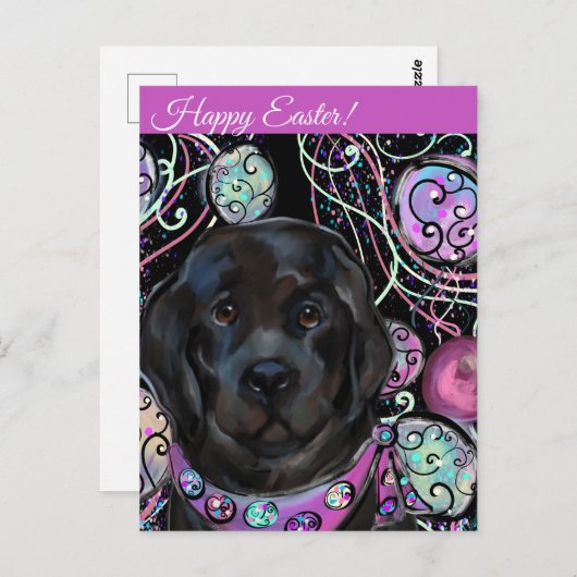 Newfoundland Dog Briefkaart (Voorkant / Achterkant)