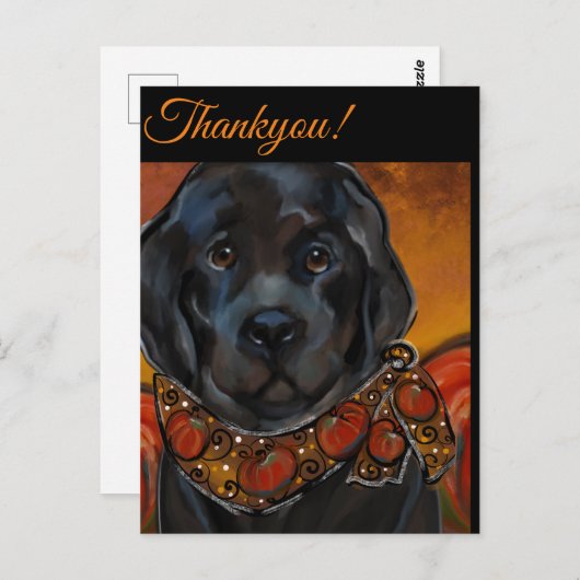 Newfoundland Dog Briefkaart (Voorkant / Achterkant)