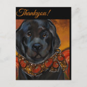 Newfoundland Dog Briefkaart (Voorkant)