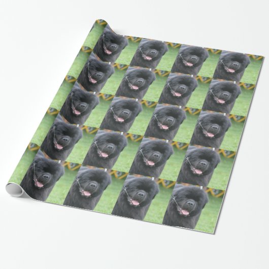 Newfoundland Dog Cadeaupapier (Uitgerold)