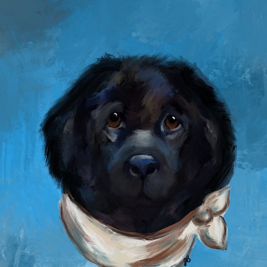 Newfoundland Dog Canvas Afdruk