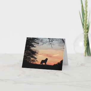 Newfoundland Dog Card Kaart