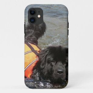 Newfoundland Dog Case-Mate iPhone Case