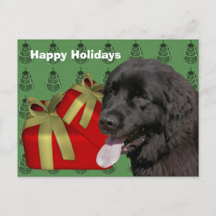 Newfoundland Dog Christmas Holiday Briefkaart