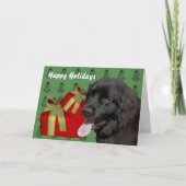Newfoundland Dog Christmas Holiday Kaart (Voorkant)