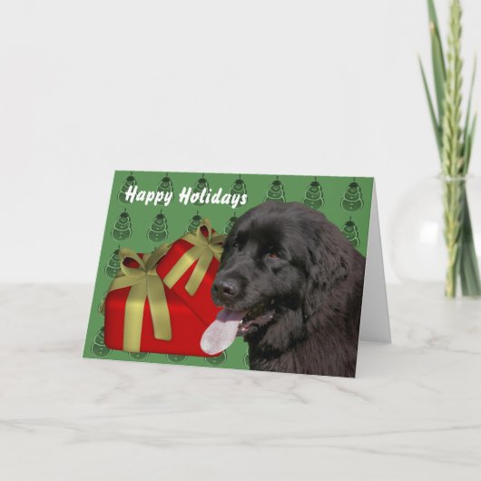 Newfoundland Dog Christmas Holiday Kaart (Voorkant)