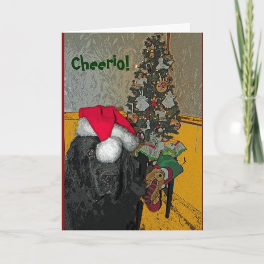 Newfoundland Dog Christmas Kaart (Voorkant)