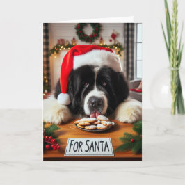Newfoundland Dog Cookie Lick Christmas Kaart