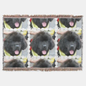 Newfoundland Dog Deken (Voorkant)