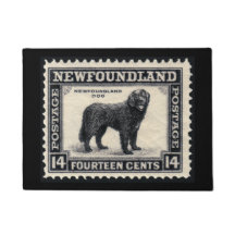 Newfoundland Dog