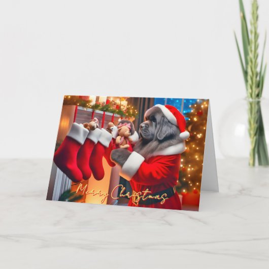 Newfoundland Dog Filling Kousen Kerst Kaart (Voorkant)