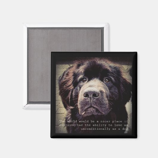 Newfoundland dog fridge magnet (Voorkant / Achterkant)