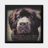 Newfoundland dog fridge magnet (Voorkant)