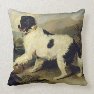 Newfoundland Dog genaamd Lion, 1824 (olie op doek) Kussen