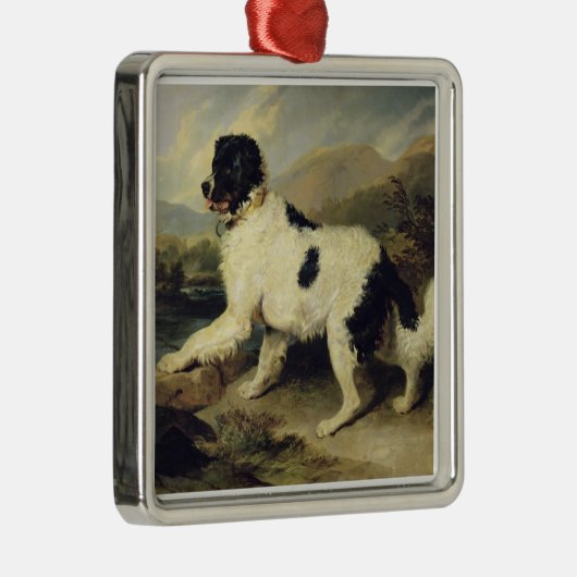 Newfoundland Dog genaamd Lion, 1824 (olie op doek) Metalen Ornament (Rechts)