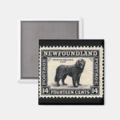Newfoundland Dog Gifts Magneet (Voorkant / Achterkant)