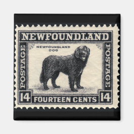 Newfoundland Dog Gifts Magneet