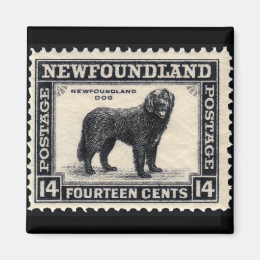 Newfoundland Dog Gifts Magneet (Voorkant)