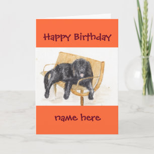 Newfoundland Dog Happy Birthday Kaart