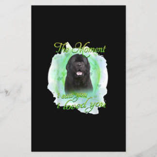 Newfoundland Dog | Het moment dat ik je zag dat ik