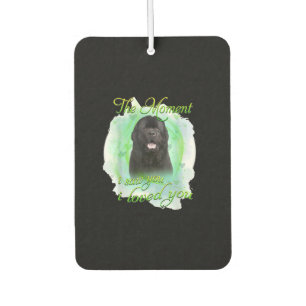 Newfoundland Dog Het moment dat ik je zag dat ik Luchtverfrisser