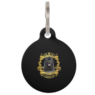 Newfoundland Dog   Het Moment Dat Ik Jou Zag Ontwe Huisdierpenning