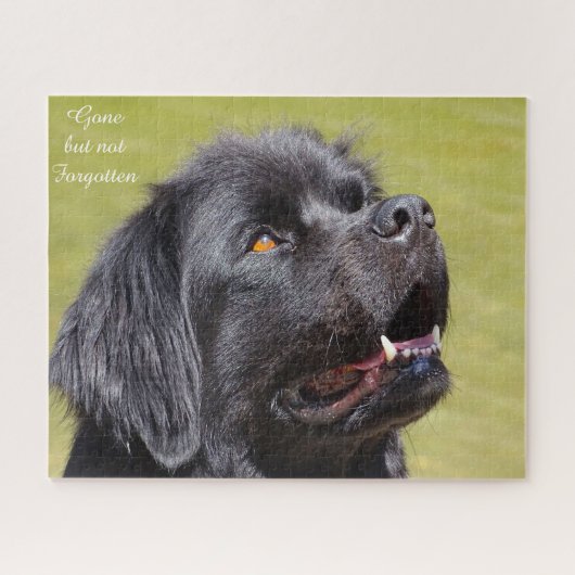 Newfoundland Dog. Jigzaag Puzzle Legpuzzel (Horizontaal)