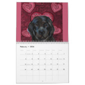 NEWFOUNDLAND DOG KALENDER (Feb 2026)