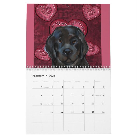 NEWFOUNDLAND DOG KALENDER (Feb 2026)
