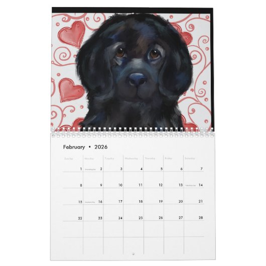 NEWFOUNDLAND DOG KALENDER (Feb 2026)