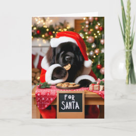 Newfoundland Dog Kerstkoekjes Kerstmis Feestdagen Kaart