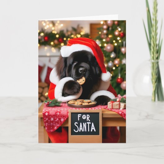Newfoundland Dog Kerstkoekjes Kerstmis Feestdagen Kaart (Voorkant)
