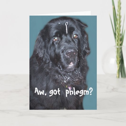 Newfoundland Dog Krijg een goede Kaart (Voorkant)