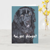 Newfoundland Dog Krijg een goede Kaart (Gele Bloem)