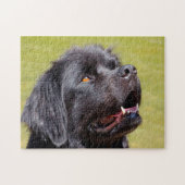 Newfoundland Dog. Legpuzzel (Horizontaal)