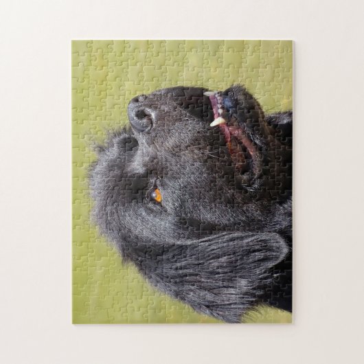 Newfoundland Dog. Legpuzzel (Verticaal)