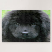 Newfoundland Dog. Legpuzzel (Horizontaal)