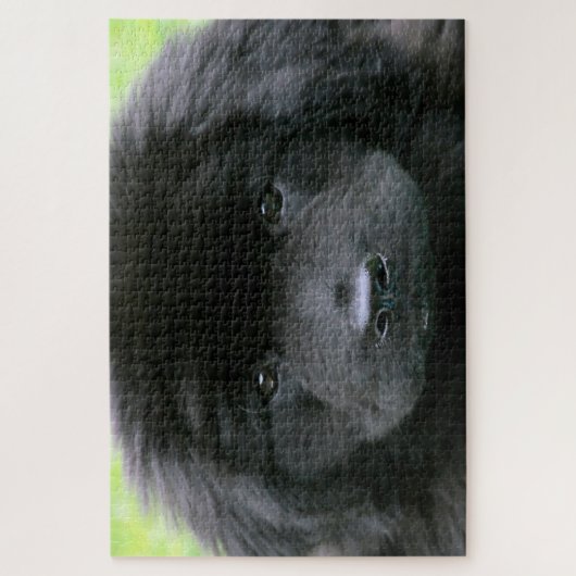 Newfoundland Dog. Legpuzzel (Verticaal)