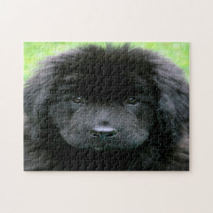 Newfoundland Dog. Legpuzzel