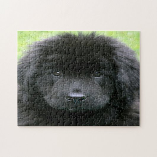 Newfoundland Dog. Legpuzzel (Horizontaal)