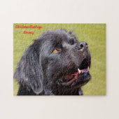 Newfoundland Dog. Legpuzzel (Horizontaal)