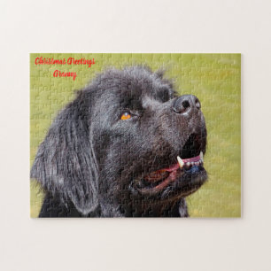 Newfoundland Dog. Legpuzzel