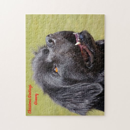 Newfoundland Dog. Legpuzzel (Verticaal)