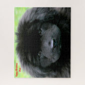 Newfoundland Dog. Legpuzzel (Verticaal)