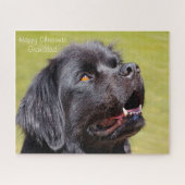 Newfoundland Dog. Legpuzzel (Horizontaal)