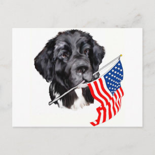 Newfoundland Dog met vlag Briefkaart