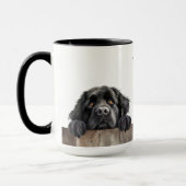 Newfoundland Dog Mok (Links)