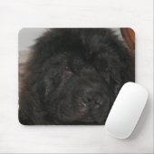 Newfoundland Dog Muismat (Met muis)
