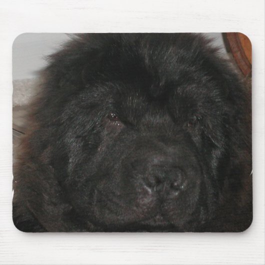 Newfoundland Dog Muismat (Voorkant)